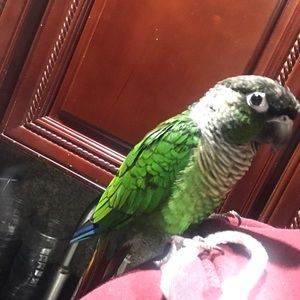 Meet your Posher, Aisha